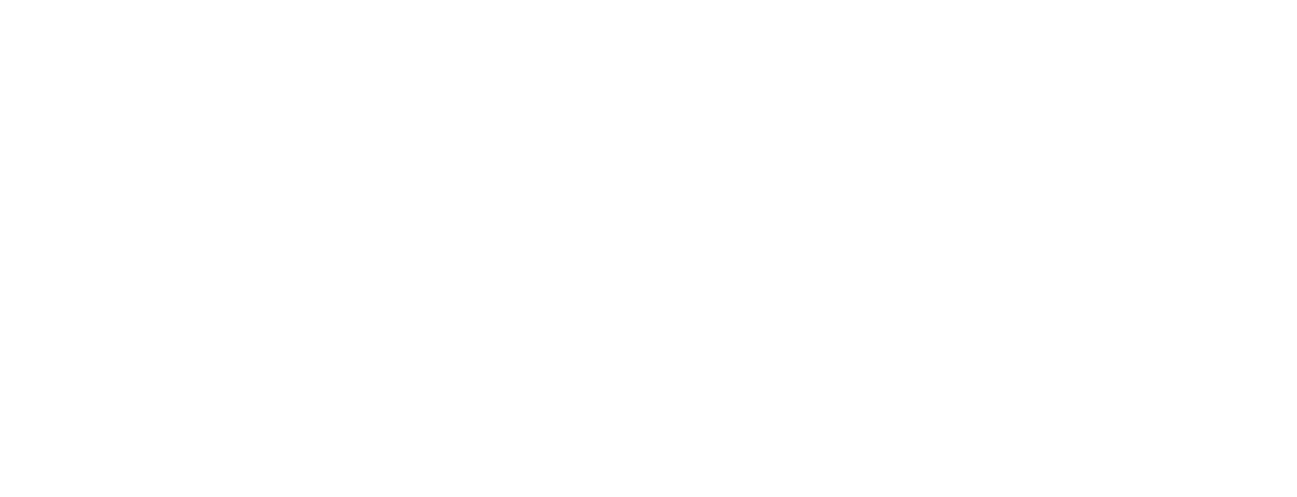 BNI Logo